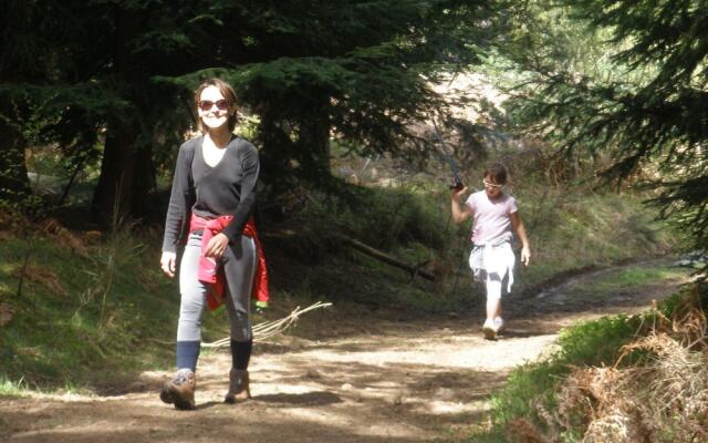 Les Roulottes de la Ferme des Chanaux