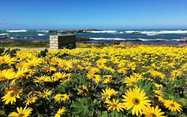 Franskraal Bed & Breakfast