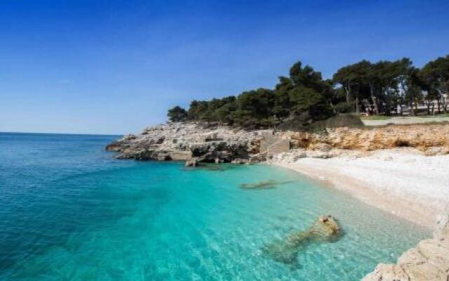 Apartment in Pula/Istrien 11119