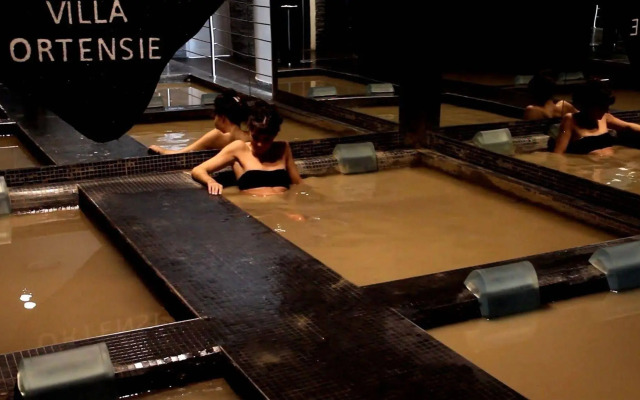 Villa delle Ortensie