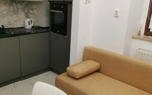 Central Designer Flat