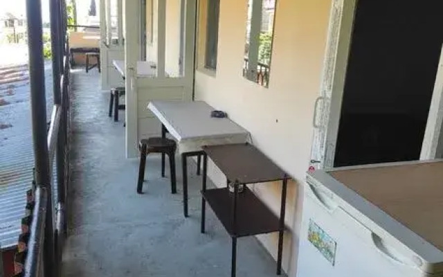 Pod palmoj