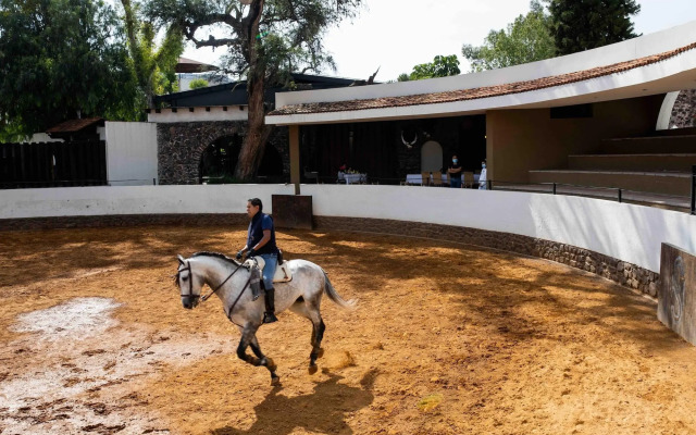 Hacienda el Salitre Hotel & Spa