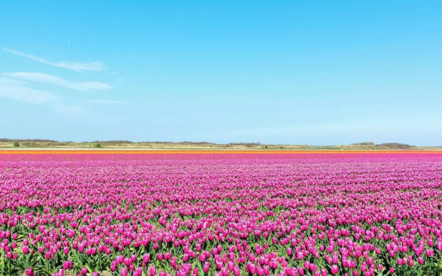 Studio in Callantsoog by Dunes and Sea