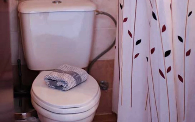 Melis Studios