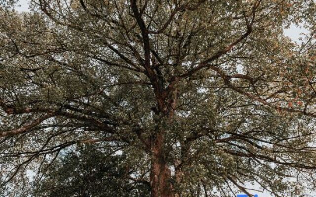 Taishun Yuelong Xisha Boutique Homestay