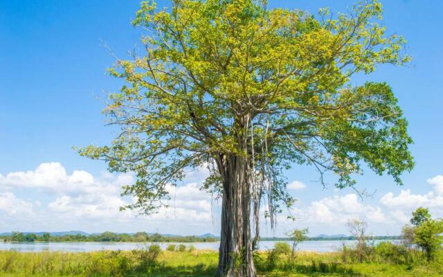 EKHO Lake Polonnaruwa