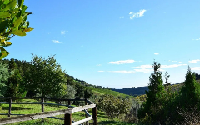 Luxury Glamping Near Adriatic Beaches