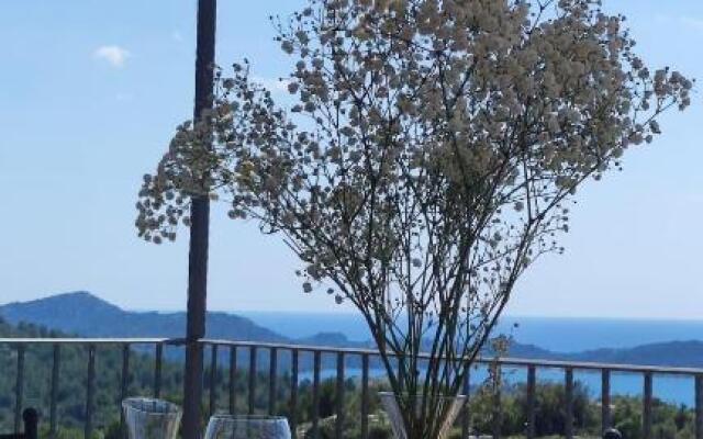 Luxury stone house in a Nature park