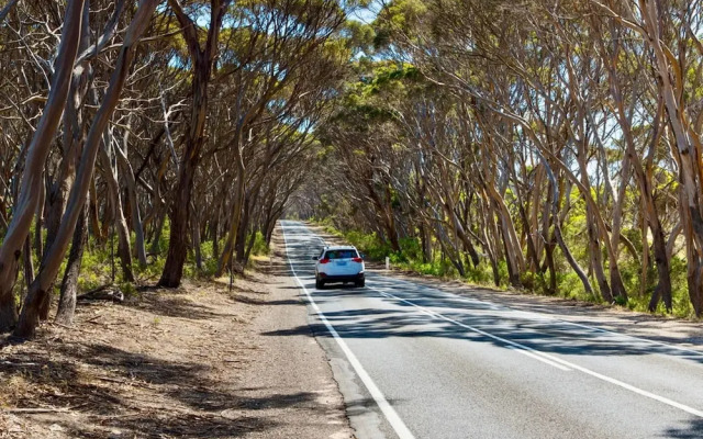 Unwind Kangaroo Island Dreaming