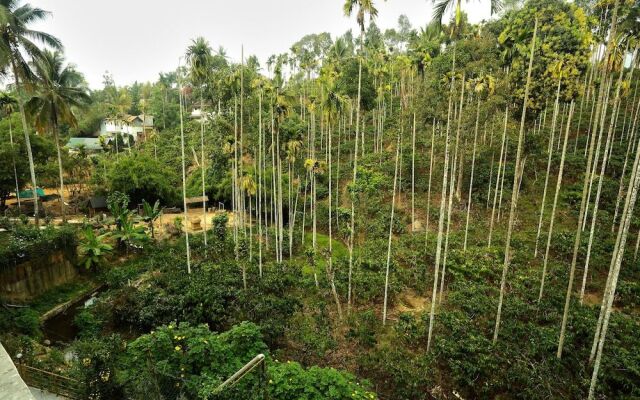 OYO 11516 Wayanad Royal Stream