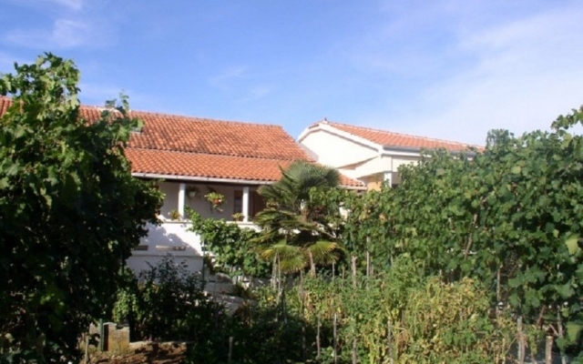 Apartment Kuzma - afordable A1 Nin, Zadar riviera