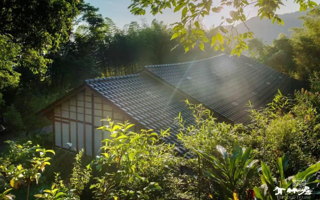 Bamboo House
