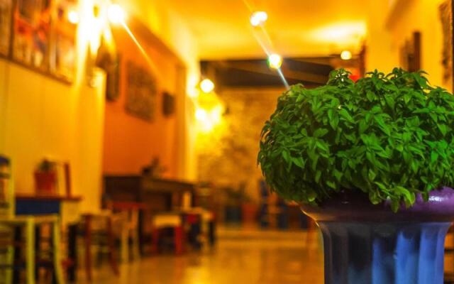 Poco Loco Bed & Breakfast