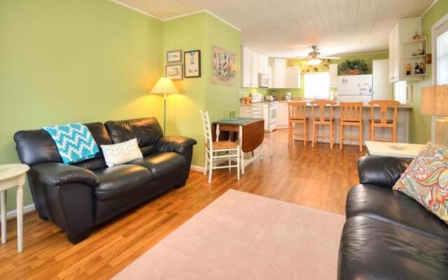 Little Bit of Sunshine