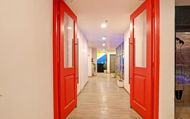 Collection O 70363 Banana Leaves