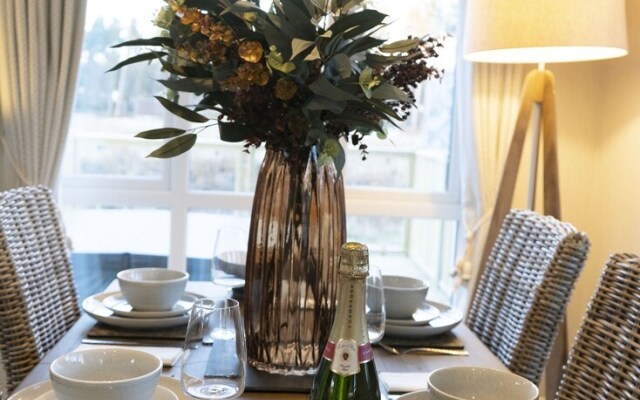 Hollicarrs - The Rushes