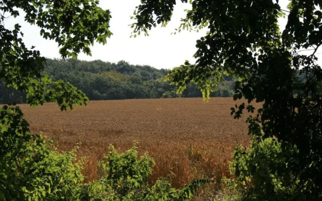 Quellenhof Comfortable Holiday Residence