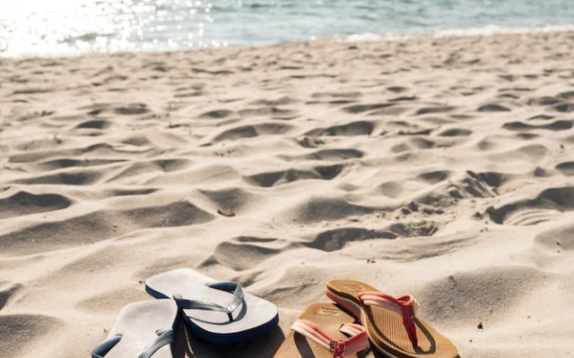 Alte Fischereischule