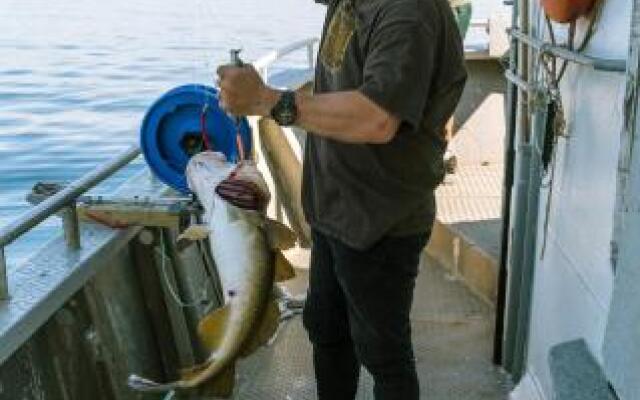 Live Lofoten Fishermen's Cabins