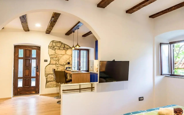 Apartments Musicology Studio-25