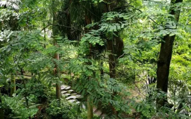 Qingchengshan Shanlishan Mijing Forest Hot Spring Guesthouse