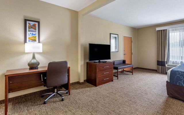 Comfort Suites At Rivergate Mall