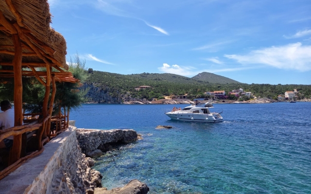 Room Ana - 5 m from beach: R11-24 Cove Pokrivenik, Island Hvar