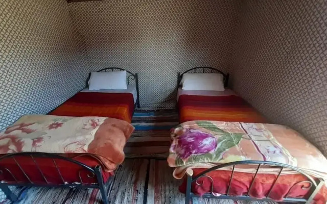 Desert Queen Camp