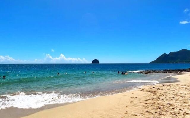 Suites Diamond Paradise