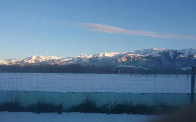 Best View on Westview (Adults Only)