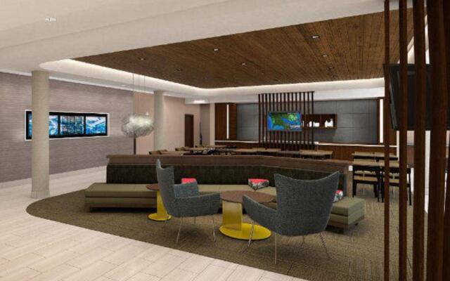 SpringHill Suites by Marriott Charlotte at Carowinds