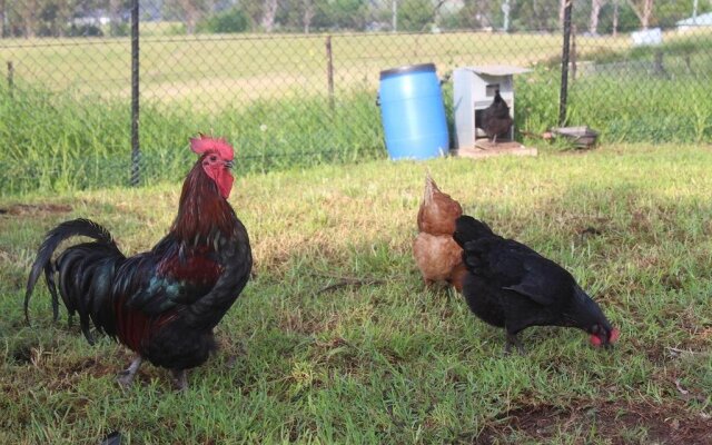 Mulgoa Valley Guesthouse