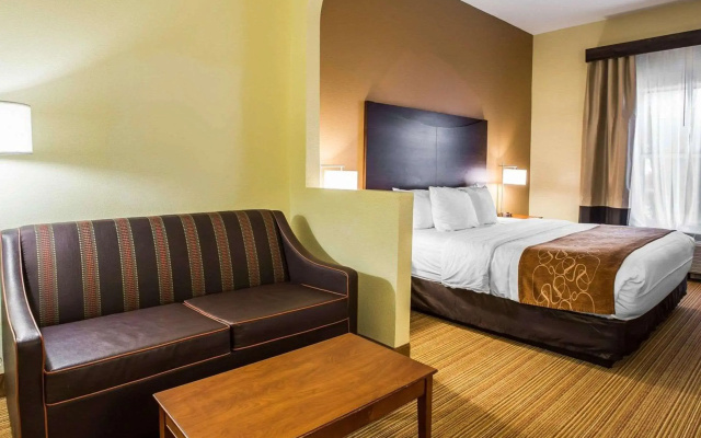 Comfort Suites Anderson-Clemson