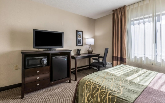 Comfort Inn Downtown