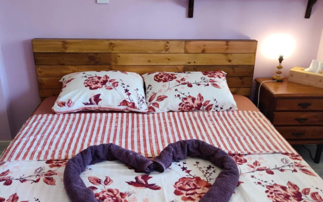 Palm garden paradise