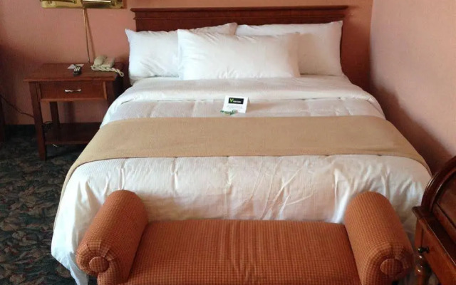 V Hotel & Suites