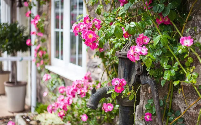 Stoodleigh Court Coach House B&B