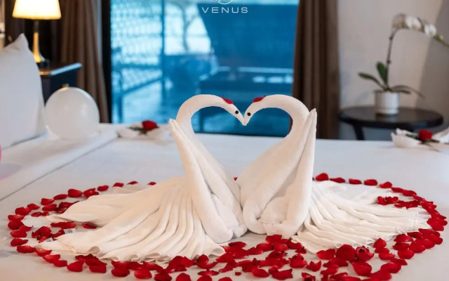 Venus Halong Cruises