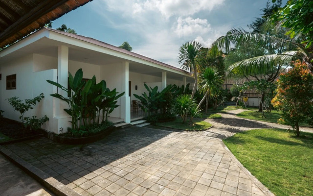 Zena Surf Suite