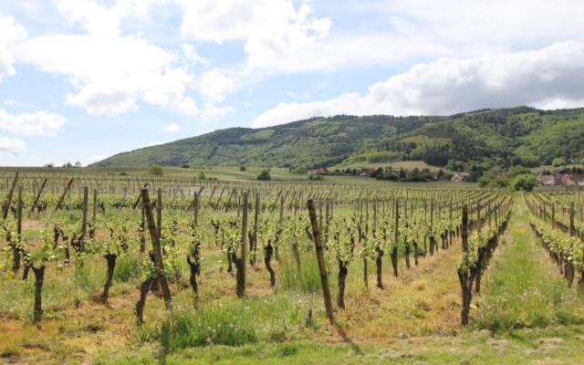 Gîte L Écrin - Cœur de Riquewihr - 4 personnes - Netflix