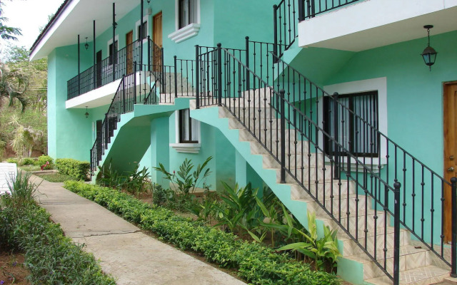 Green Forest of Coco Beach Studios