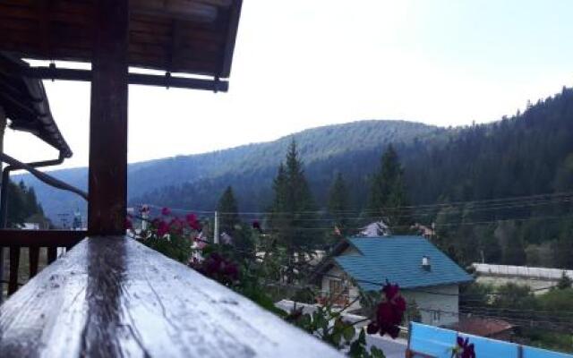 Vila Vitalis