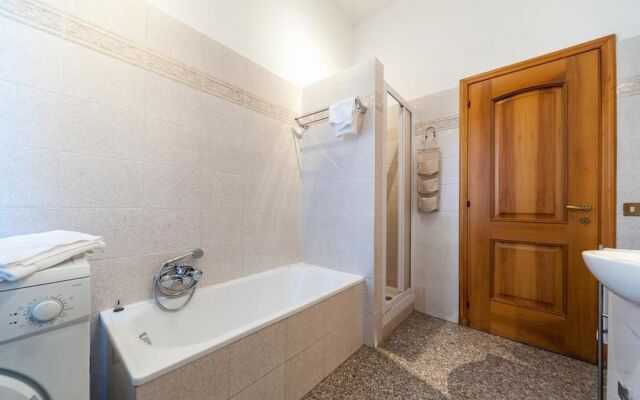 Tridomus Filiberto 233