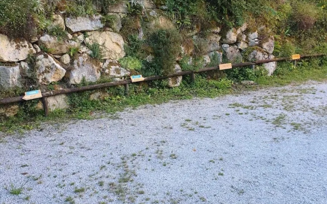 Résidence les trois jardins