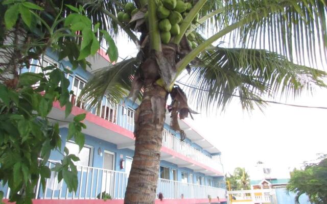 Blue Coconut Cancun Hotel