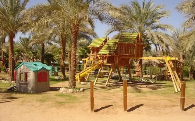 Holiday Service College & Diving