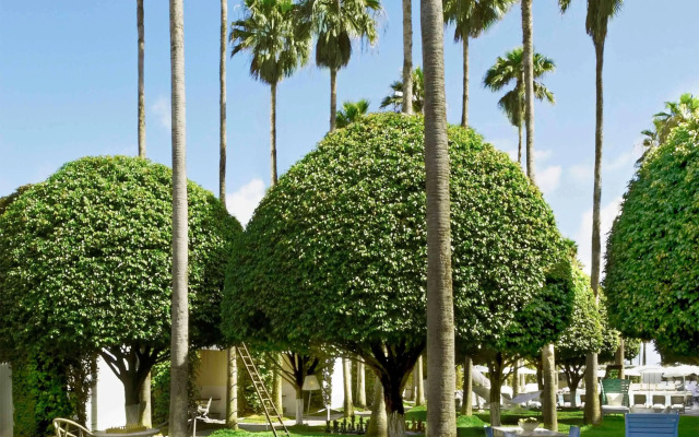  Delano South Beach