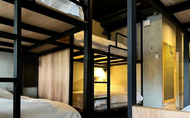 Yian Branch2 Backpacker lnn