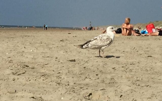 Appartement Villa Eva Rosa